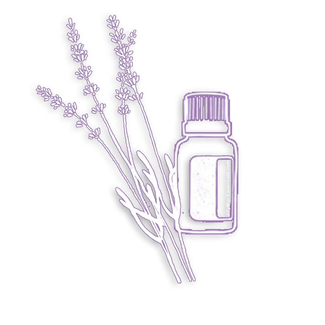 accent purp lavender shad2