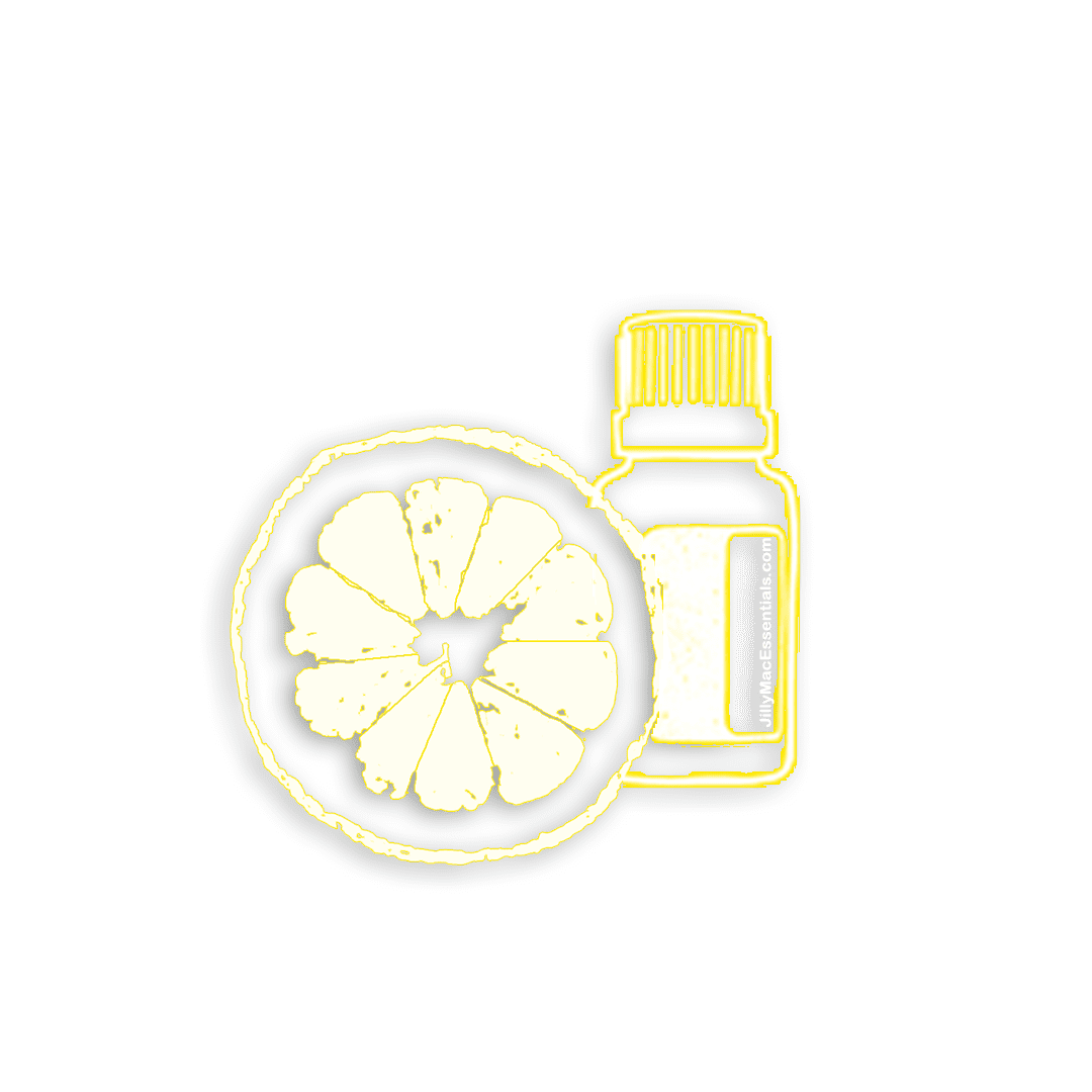 accent yellow Lemon shad 2